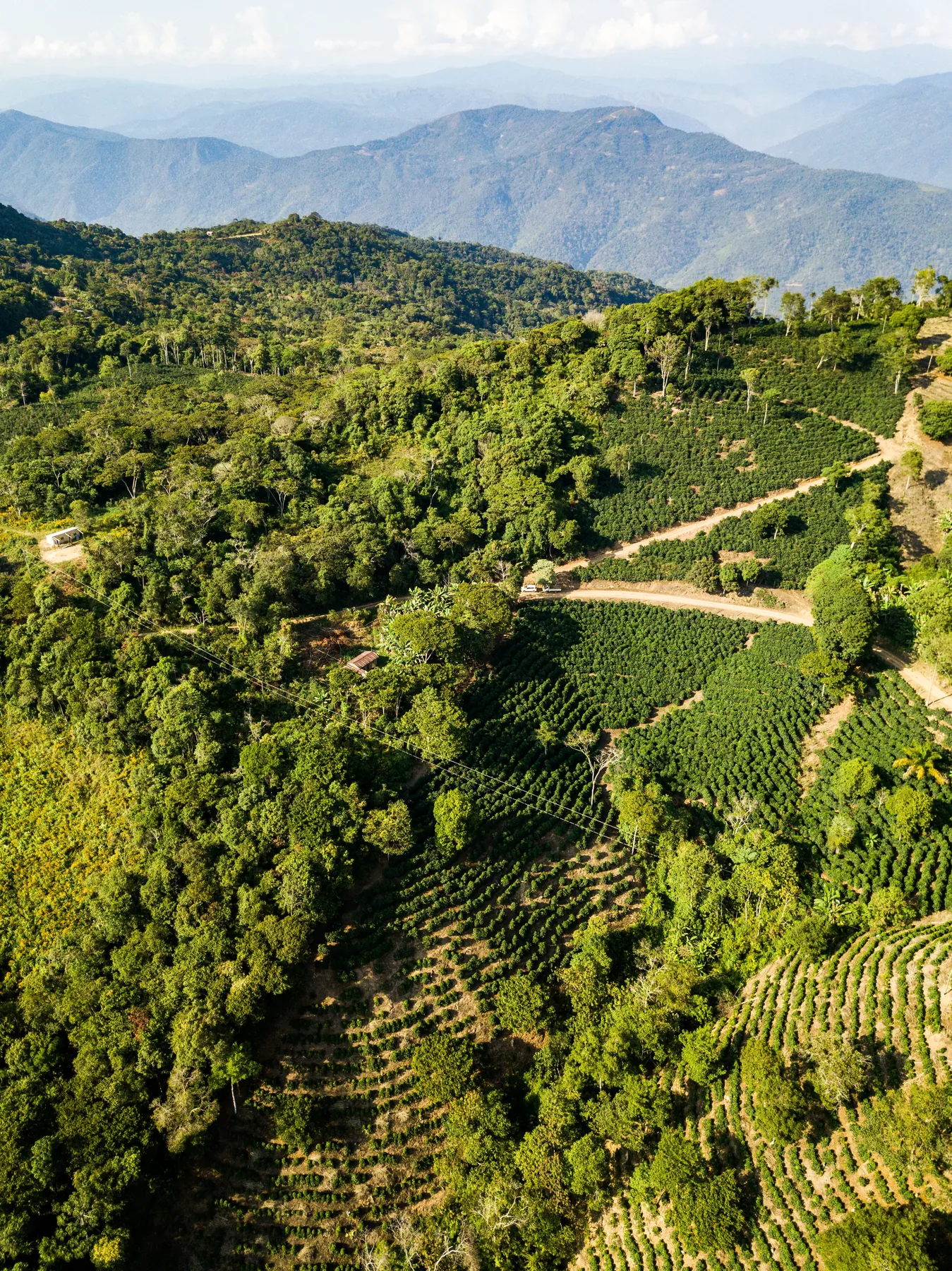 Caranavi, Los Yungas — La Paz