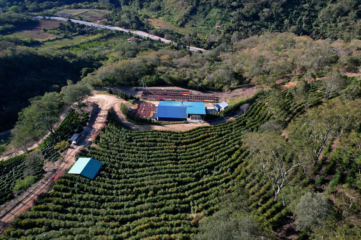 Finca Samaipata 1